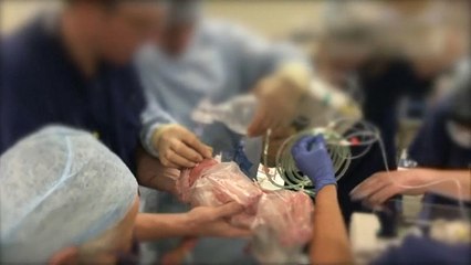 بعد 9 أشهر في المستشفى..رضيعة بريطانية وُلدت بقلب خارج صدرها تعود إلى منزلها في زيارة