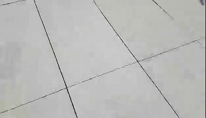 -Falling in the water whilst roller skating