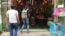 動画：女性に人気、カンボジア初「爬虫類カフェ」