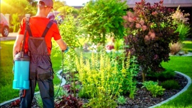 Apopka Lawn Care Apopka Lawn Fertilization 407-955-5858