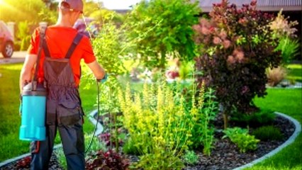 Apopka Lawn Care  Apopka Lawn Fertilization  407-955-5858