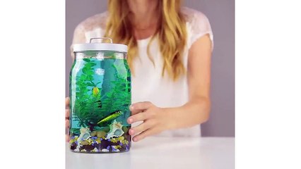 19 ASTUCES SYMPA AVEC DES BOUTEILLES ET DES CANETTES