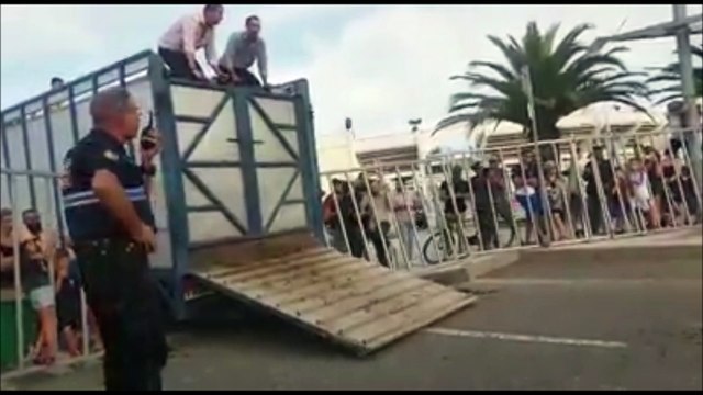 Un policier attaqué par un taureau lors de la bandido du Grau-du-Roi