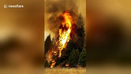Major interstate "closed indefinitely" as Delta Fire rages in northern California
