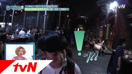 두번째 둥지탈출! 대만에서 선인을 찾아라