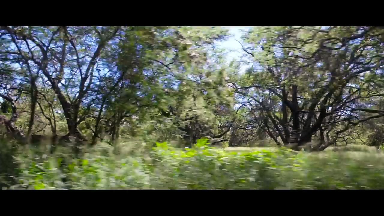 MAUI ISLAND VIBES - Minute Diary 07