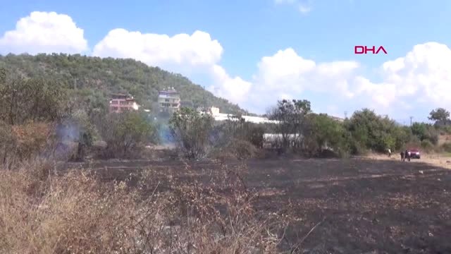 Antalya Meyve Ağaçları Yangında Zarar Gördü