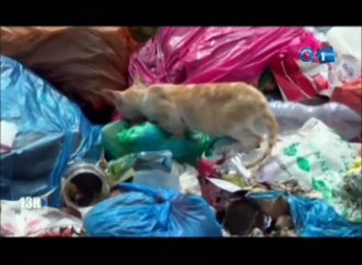 Audience du ministre d’Etat à l’intérieur avec le directeur général adjoint AVERDA