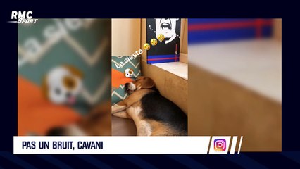 Hamilton, Meunier, Fognini... L'Actu Sport.Net du 11 septembre 2018