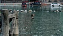 Selangor coastal areas experience high tide but under control