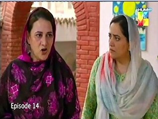 Sanwari Epi 14 HUM TV Drama 11 September 2018 -