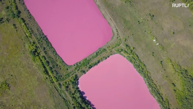 Водоем который окрашивается в нежно розовый цвет. Пруд зелененький Чапаевск.