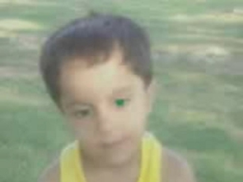 Hasib wawa