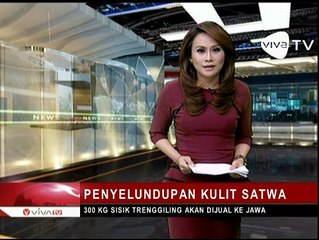 Penyelundupan Kulit Satwa Digagalkan