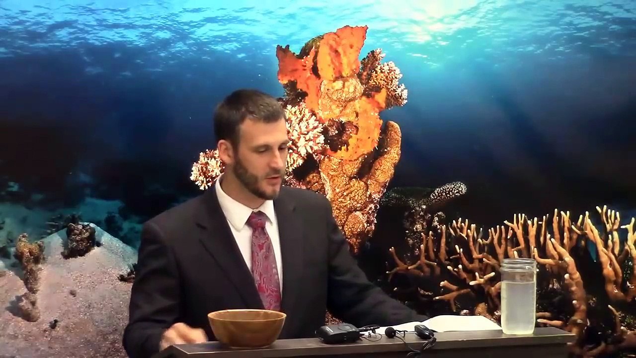 The Wolf Pack - John Calvin, John MacArthur, John Piper (Fal