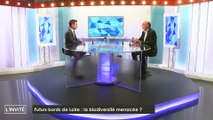 L'invité de la rédaction - 11/09/2018 -  Pierre Richard, président de la Sepant