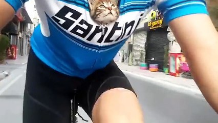 Ciclista encontra um gatinho abandonado e o leva embora em sua camisa