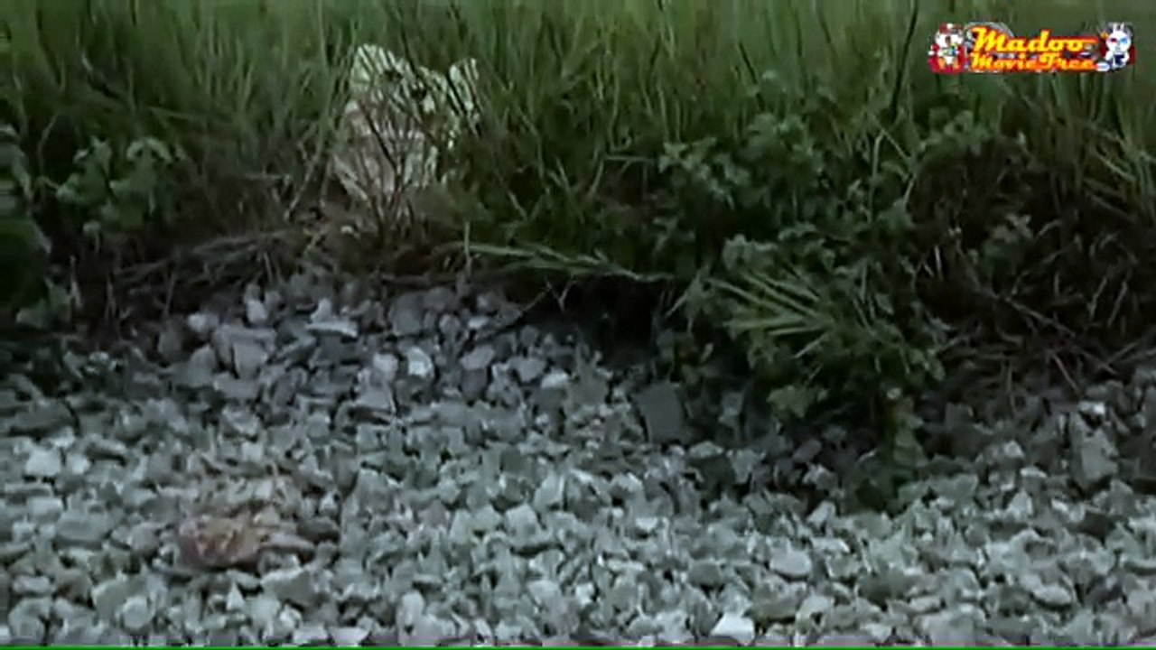 Cut. บางฉากจากภาพยนตร์ คืนบาปพรหมพิราม 2546 | พิมพ์พรรณ ชลายนคุปต์