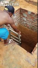 Ce chat se sauve tout seul d'un trou de 2m !