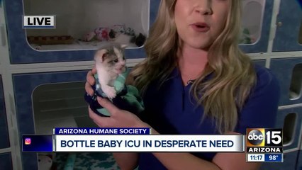 Critical need at Arizona Humane Society