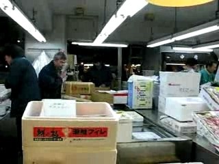 Browsing the Tsukiji Fish Market at 5am