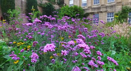 GOODLINES: September 12th 2018