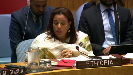 'We have undeniable proof of planned provocations against Damascus' - Russian Ambassador