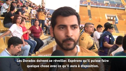 Video herunterladen: Dorados - Les supporters pleins d'espoirs avec la venue de Maradona