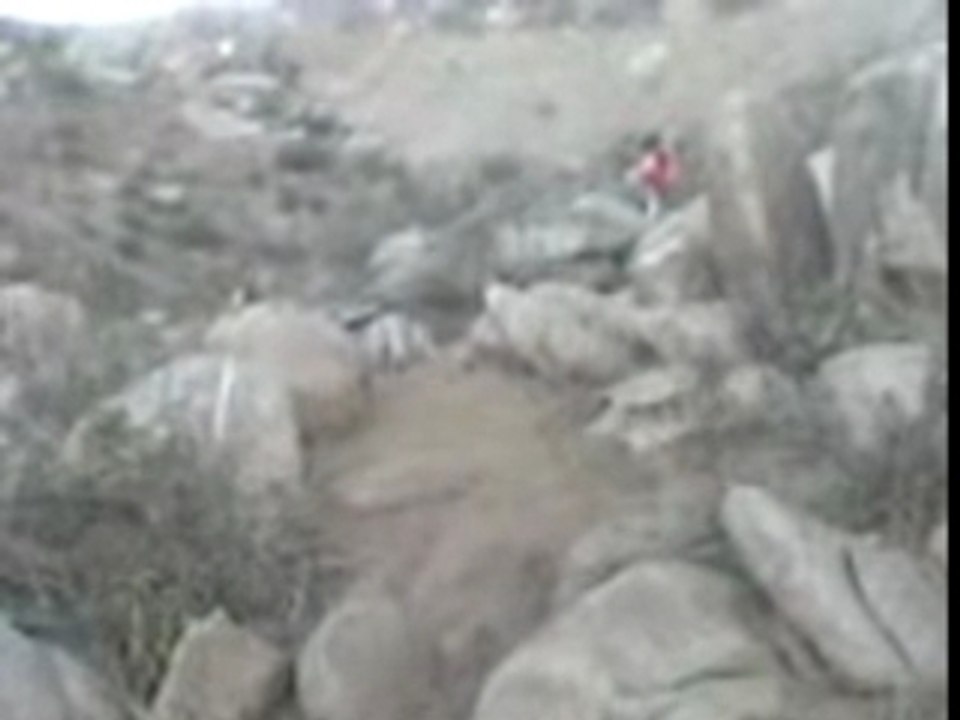 MOV00004