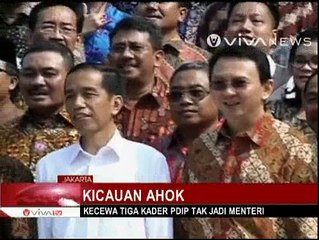 Ahok Kecewa Tiga Politisi PDIP Ini Tak Jadi Menteri