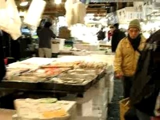 Flappers - Tsukiji