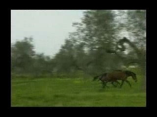 Viaggio nel paese della mia interiorità