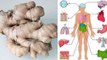 Health Benefits of Ginger | Eat Ginger Every Day For 1 Month and THIS Will Happen to Your Body!