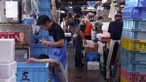Operation Tsukiji: Tokyo battles rats as iconic market shuts