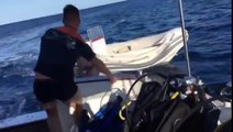 Il se jette sur le bateau de touristes pour en découdre