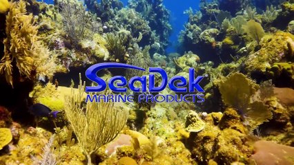 Epic Offshore fishing in Florida