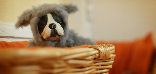 Iggy Pop - King Of The Dogs (Business Man Version)