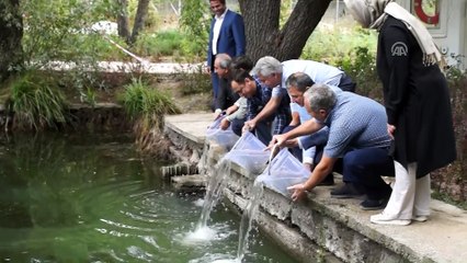 Karagöl'e 5 bin abant alası bırakıldı - ANKARA