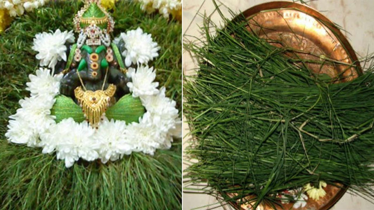 விநாயகர் சதுர்த்தி :பிள்ளையாருக்கு அருகம்புல் சாற்றி சிதறுகாய் போடுவது ஏன் தெரியுமா?- வீடியோ