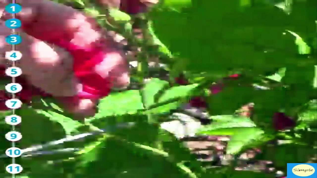 12 Best DIY Projects Using Dollar Store Tea Lights Simple Crafts