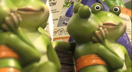 Today's Friendly Face  is Andy!