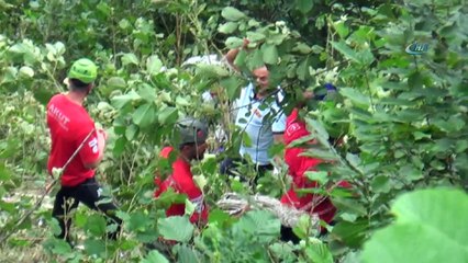 Valilikten kaza sonrası açıklama: 5 ölü, 11 yaralı
