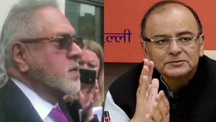 भारत छोड़ने से पहले मैंने वित्त मंत्री से मुलाकात की थी: विजय माल्या