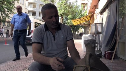 Yarım asırlık testiden su ikramı - SİİRT