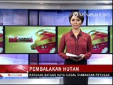 Ratusan Batang Kayu Ilegal Diamankan Petugas