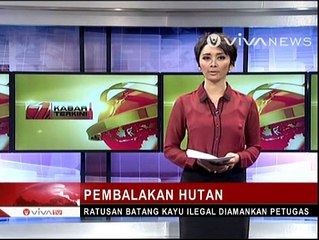 Ratusan Batang Kayu Ilegal Diamankan Petugas