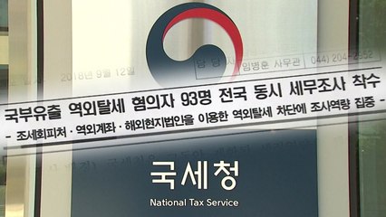 역외탈세 93명 세무조사...사주·의사·연예인 등 다수 포함 / YTN