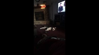 Husky sleeps with bone in weirdest possible way