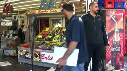 Yeşilırmak'ta oltaya 1 metre 75 santimlik yayın balığı takıldı - AMASYA