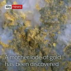 Huge mother lode of gold found